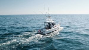FAQ CTA Marine Drone Footage
